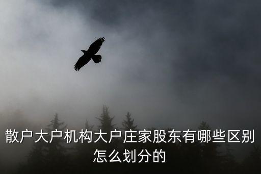 散戶大戶機構(gòu)大戶莊家股東有哪些區(qū)別怎么劃分的