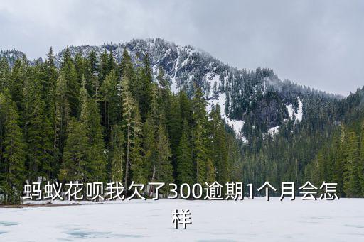螞蟻花唄一個(gè)月不還會(huì)怎么樣，螞蟻花唄我欠了300逾期1個(gè)月會(huì)怎樣