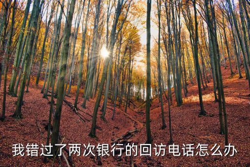 錯過銀行電話怎么辦，我錯過了兩次銀行的回訪電話怎么辦