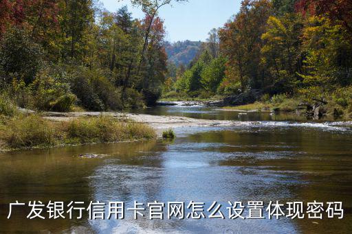 廣發(fā)怎么設(shè)置提現(xiàn)密碼是什么意思，廣發(fā)卡如何撥打熱線設(shè)置提現(xiàn)密碼