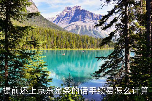京東的手續(xù)費怎么算得，京東分期用的服務費計算的公式