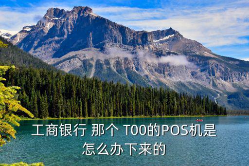 工商銀行 那個(gè) T00的POS機(jī)是怎么辦下來(lái)的