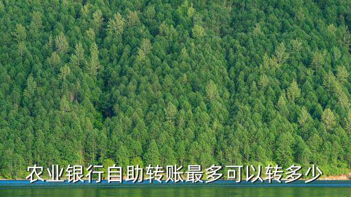 農(nóng)業(yè)銀行自助轉(zhuǎn)賬最多可以轉(zhuǎn)多少
