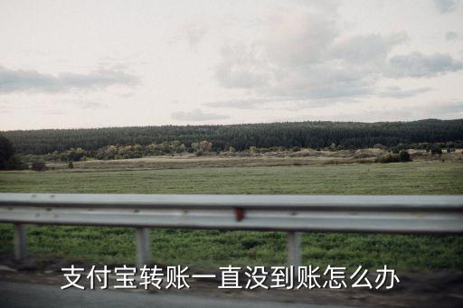 支付寶轉(zhuǎn)賬一直沒到賬怎么辦