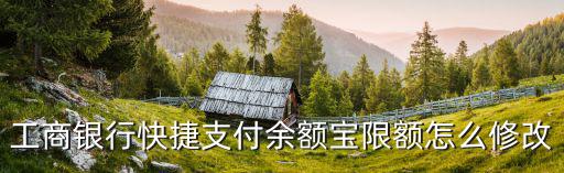 工商銀行快捷支付余額寶限額怎么修改