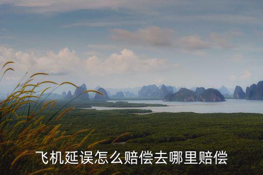 中信 飛機(jī)延誤 怎么賠，請(qǐng)問(wèn)出現(xiàn)飛機(jī)延誤要怎么申請(qǐng)理賠