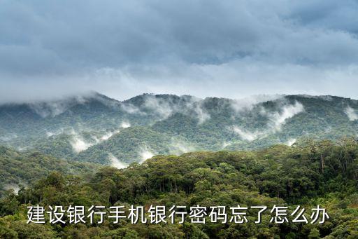 建設(shè)銀行手機(jī)銀行密碼忘了怎么辦