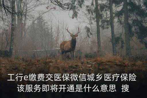 工行e繳費交醫(yī)保微信城鄉(xiāng)醫(yī)療保險 該服務即將開通是什么意思  搜