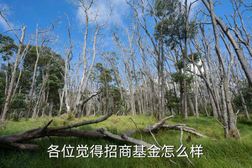 各位覺(jué)得招商基金怎么樣