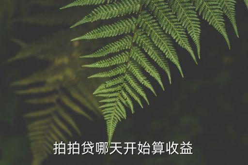 拍拍貸預(yù)期收益怎么計(jì)算，拍拍貸的預(yù)期收益率是不是算錯了親們小女看糊涂了