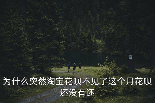 怎么淘寶付款沒有花唄還款，淘寶現(xiàn)在沒有花唄的界面了嗎 要還款了 結(jié)果找不到花唄了 現(xiàn)在用的淘