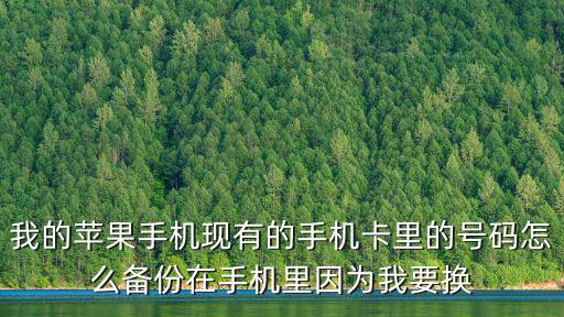 我的蘋果手機(jī)現(xiàn)有的手機(jī)卡里的號(hào)碼怎么備份在手機(jī)里因?yàn)槲乙獡Q
