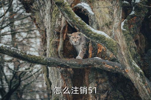 怎么注銷51人品貸，怎么注銷51啊