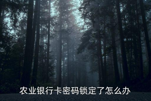 農(nóng)業(yè)銀行卡密碼鎖定了怎么辦