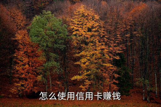 怎么使用信用卡賺錢