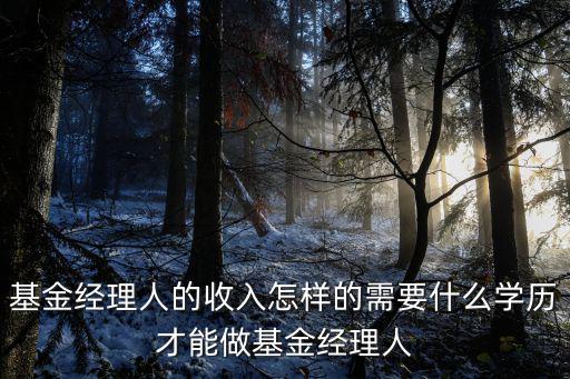 興全基金投資經(jīng)理待遇怎么樣，基金經(jīng)理年薪多少