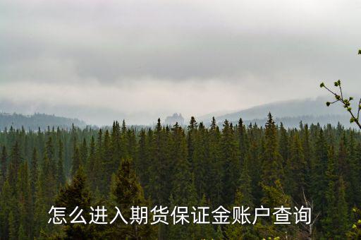 期貨保證金賬戶怎么查，期貨保證金監(jiān)控中心規(guī)定只能查二個(gè)月內(nèi)的賬單那么怎么樣才能查到