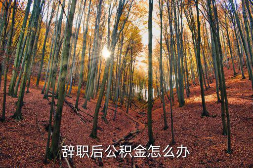 辭職后公積金怎么辦