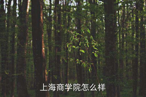 上海商學(xué)院怎么樣