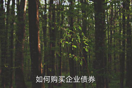 如何購(gòu)買企業(yè)債券