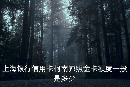上海銀行柯南卡怎么樣，上海銀行柯南JCB單幣信用卡能在上海市松江區(qū)哪里購物