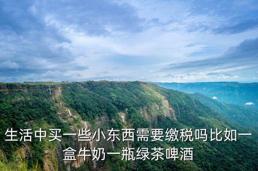 生活中買一些小東西需要繳稅嗎比如一盒牛奶一瓶綠茶啤酒