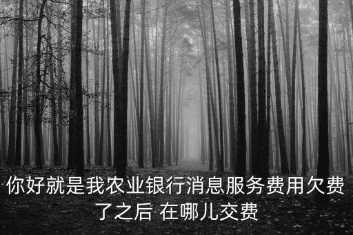 你好就是我農(nóng)業(yè)銀行消息服務(wù)費(fèi)用欠費(fèi)了之后 在哪兒交費(fèi)
