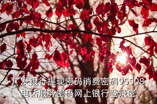 廣發(fā)銀行提現(xiàn)密碼消費(fèi)密碼95508電話服務(wù)密碼網(wǎng)上銀行登錄密