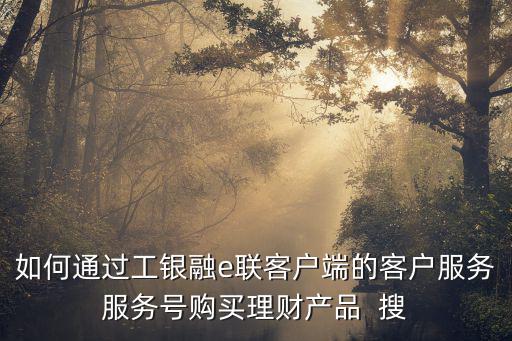 如何通過(guò)工銀融e聯(lián)客戶端的客戶服務(wù)服務(wù)號(hào)購(gòu)買理財(cái)產(chǎn)品  搜