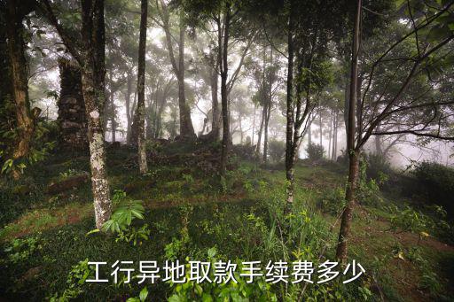 工行異地取款手續(xù)費(fèi)多少