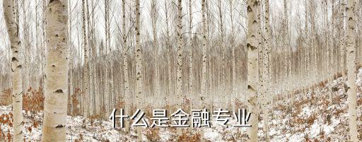 什么是金融專業(yè)
