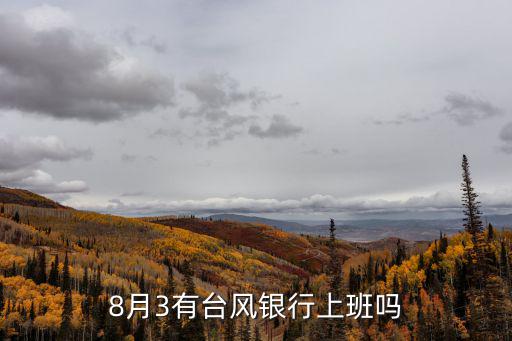 銀行面臨臺風怎么做，8月3有臺風銀行上班嗎