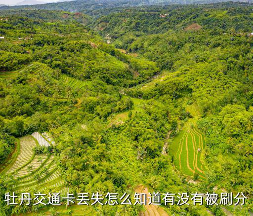 牡丹交通卡丟失怎么知道有沒有被刷分