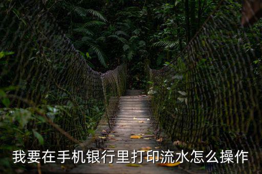 我要在手機(jī)銀行里打印流水怎么操作