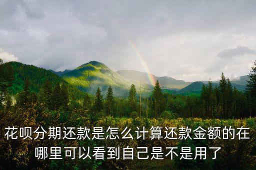 花唄分期還多少怎么看，螞蟻花唄分期之后還剩多少錢怎么查