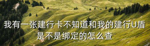 我有一張建行卡不知道和我的建行U盾是不是綁定的怎么查