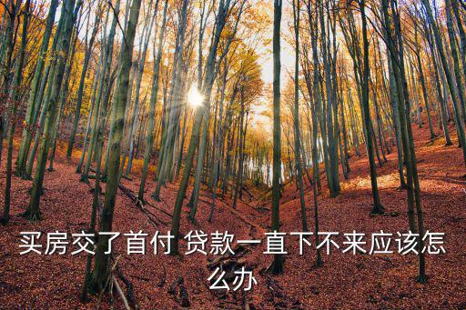 買房交了首付 貸款一直下不來應(yīng)該怎么辦