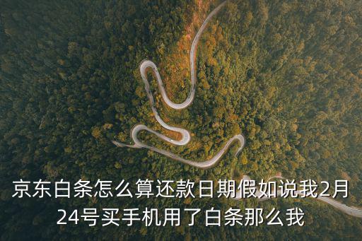 京東分期每月怎么還款日期，京東白條分期還款日