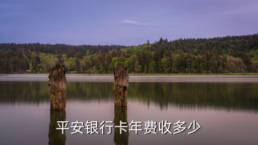 平安鉆石卡怎么收年費(fèi)，平安銀行借記卡年費(fèi)怎么收