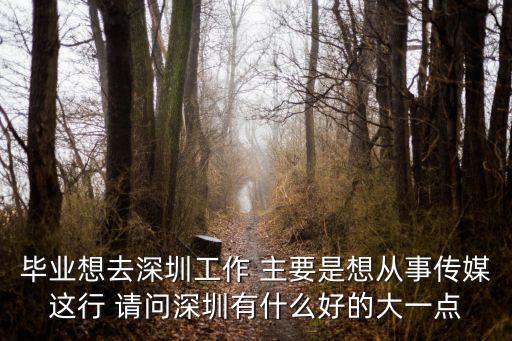 畢業(yè)想去深圳工作 主要是想從事傳媒這行 請問深圳有什么好的大一點