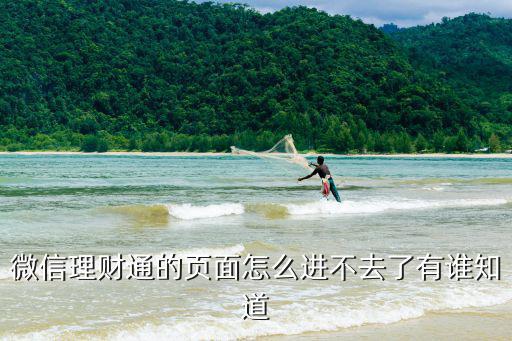 微信理財(cái)通的頁(yè)面怎么進(jìn)不去了有誰知道