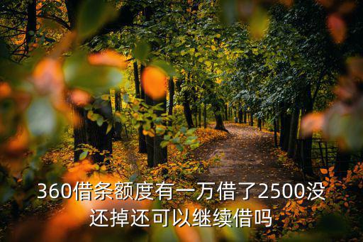 360借條額度有一萬(wàn)借了2500沒(méi)還掉還可以繼續(xù)借嗎