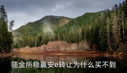陸金所的贖樓e怎么購買，陸金所穩(wěn)贏安e轉(zhuǎn)讓為什么買不到