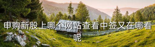 怎么查打新股是否中簽，申購(gòu)新股上哪個(gè)網(wǎng)站查看中簽又在哪看呢