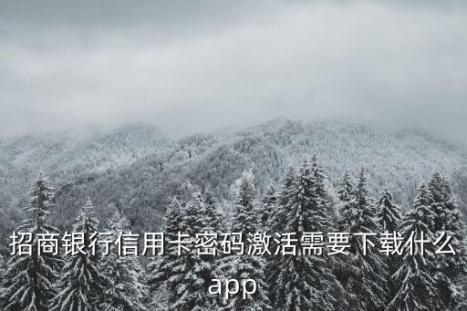 招商銀行信用卡密碼激活需要下載什么app
