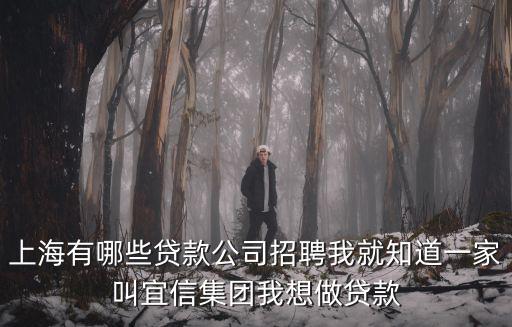 上海有哪些貸款公司招聘我就知道一家叫宜信集團(tuán)我想做貸款