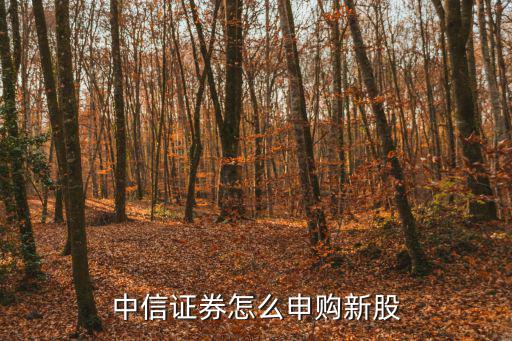 中信證券怎么申購新股