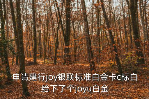 建行白金卡怎么下，申請(qǐng)建行joy銀聯(lián)標(biāo)準(zhǔn)白金卡c標(biāo)白 給下了個(gè)joyu白金
