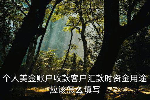 個(gè)人美金賬戶收款客戶匯款時(shí)資金用途應(yīng)該怎么填寫