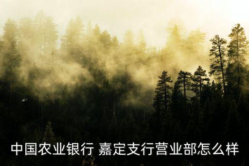 農(nóng)行金鷹支行怎么樣，中國農(nóng)業(yè)銀行 嘉定支行營業(yè)部怎么樣